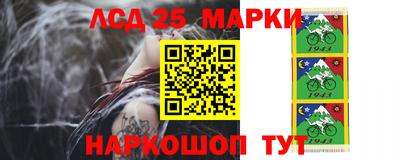 крисы Тверь