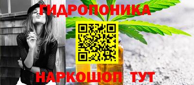 крисы Тверь